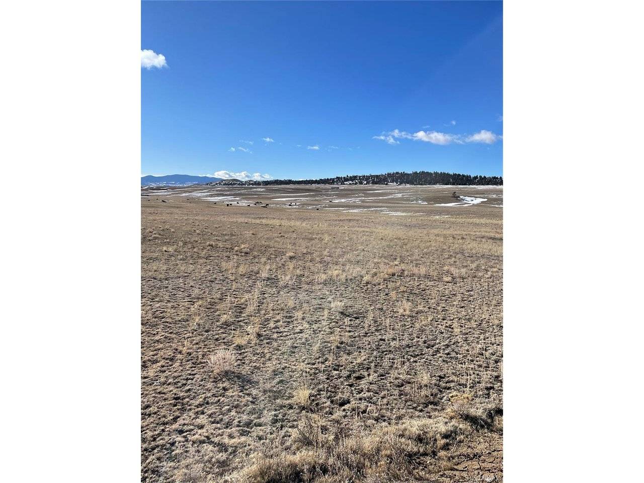 1260 Goldenburg Canyon, Hartsel, CO 80449