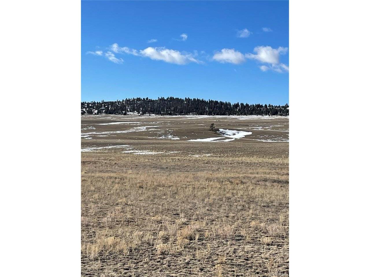 1260 Goldenburg Canyon, Hartsel, CO 80449