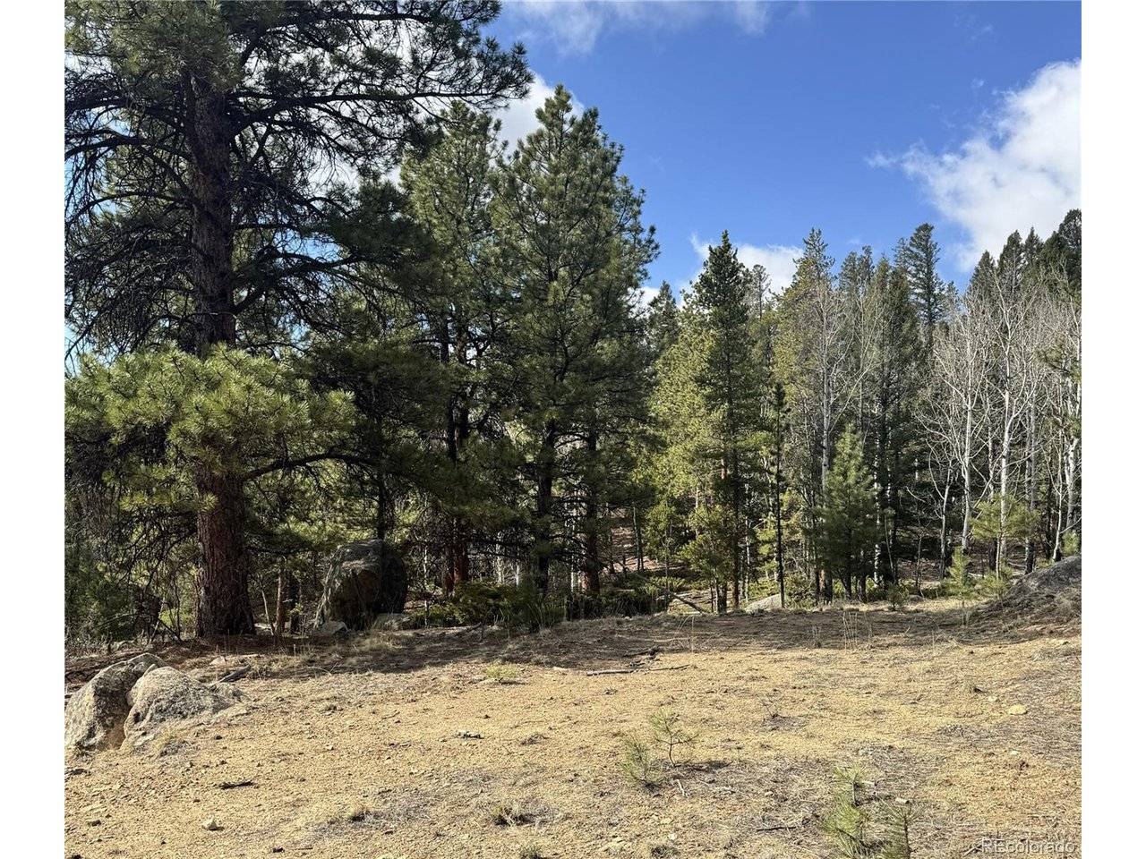 30317 Aspen Turn, Buena Vista, CO 81211