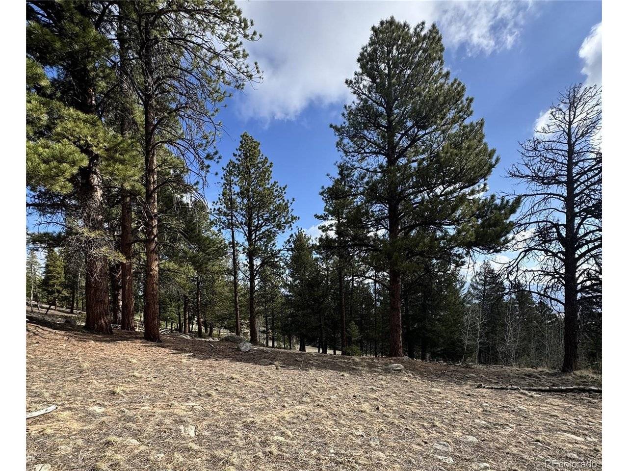 30317 Aspen Turn, Buena Vista, CO 81211