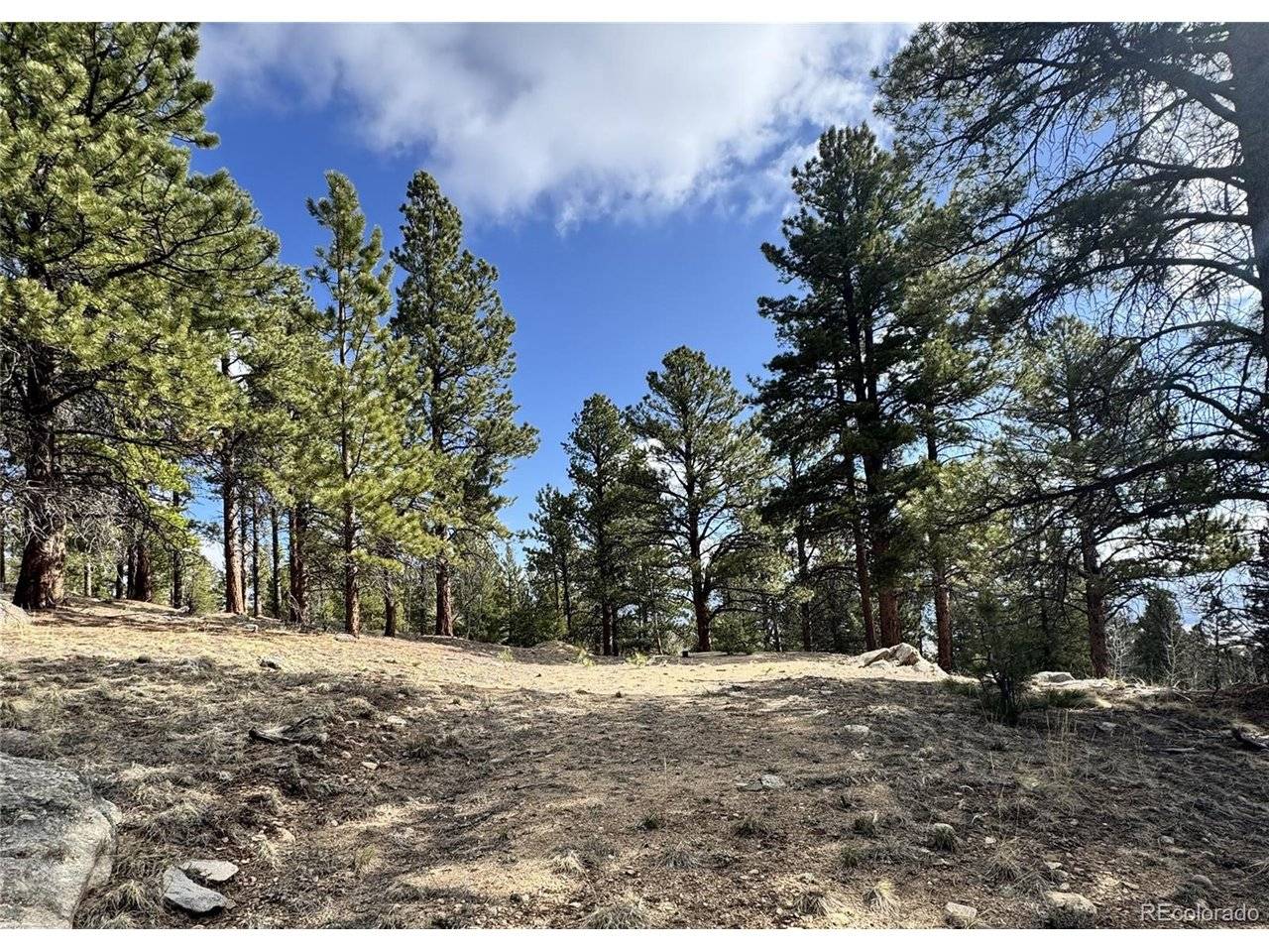 30317 Aspen Turn, Buena Vista, CO 81211