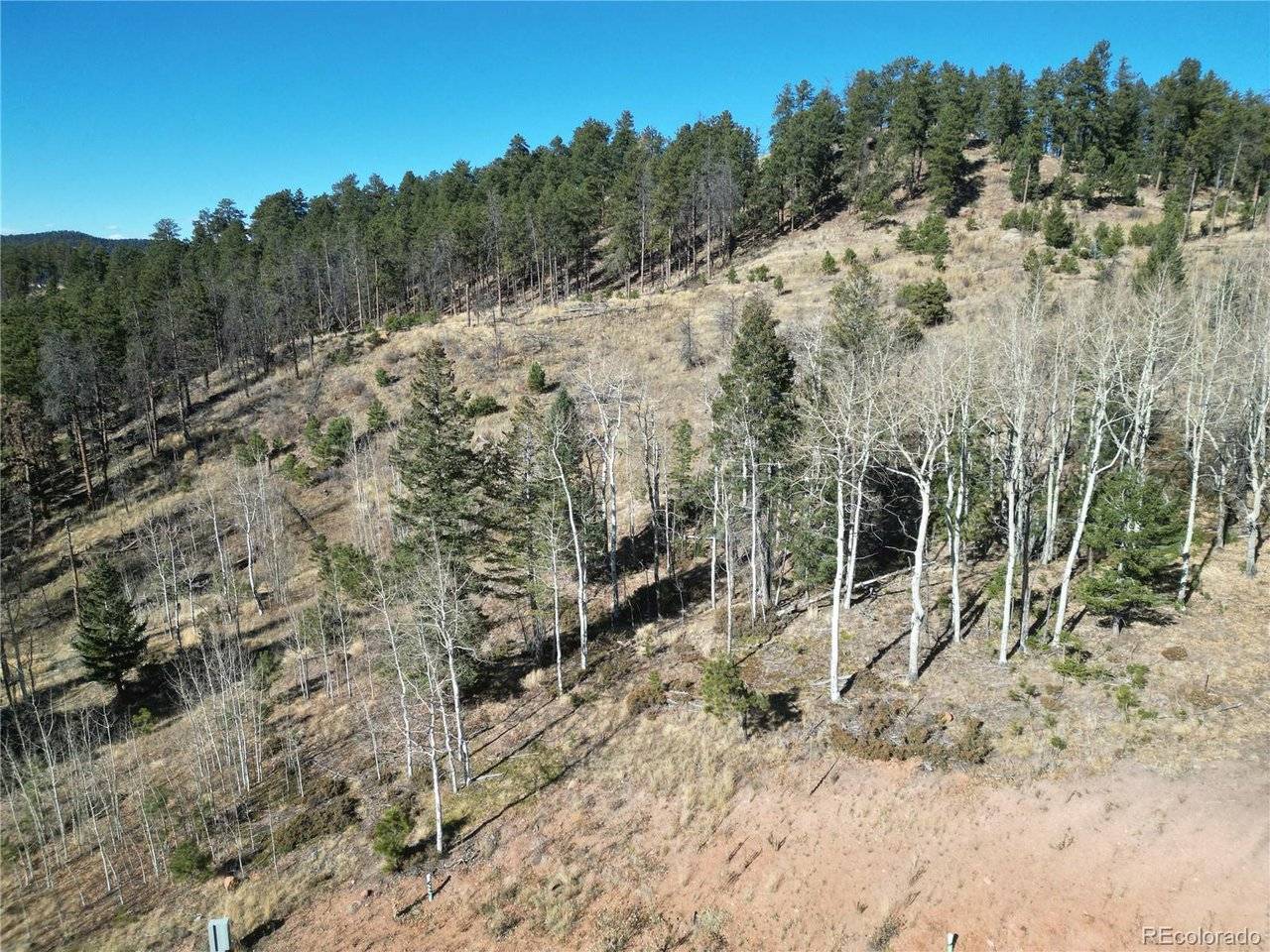 14 Blue Haven, Woodland Park, CO 80863