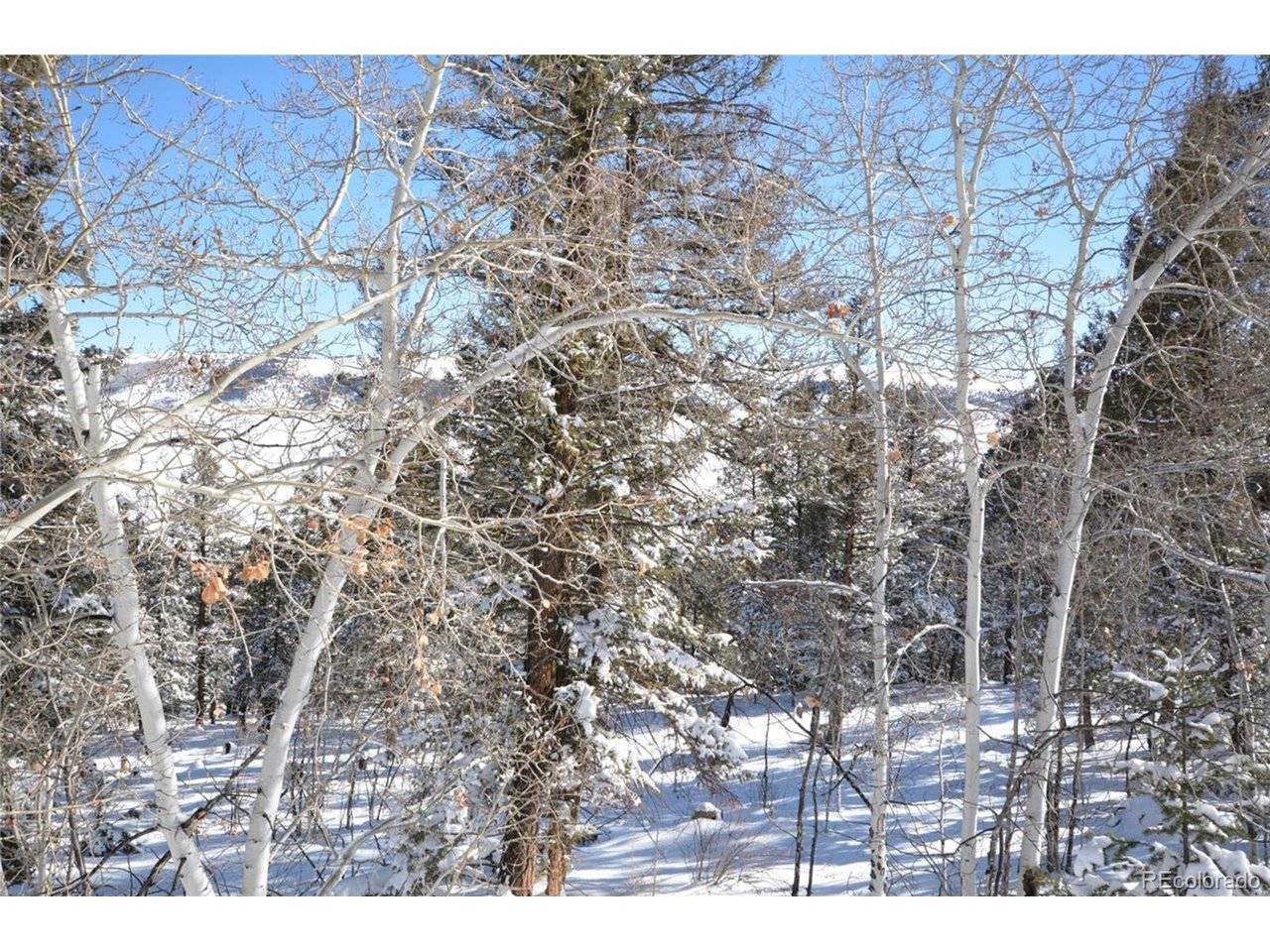 Address not disclosed, Fairplay, CO 80440