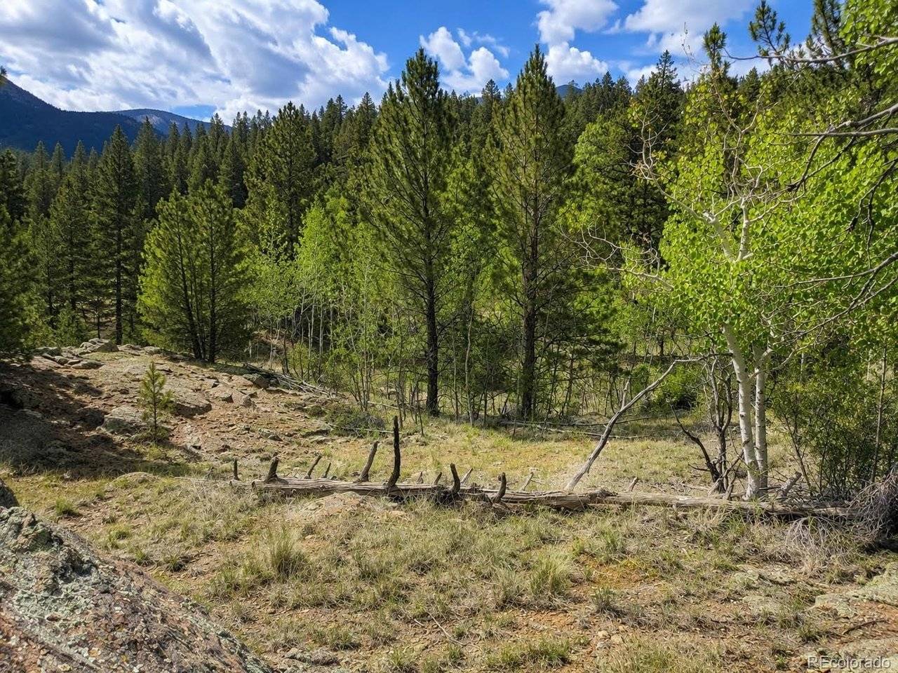 639 Spade, Jefferson, CO 80456