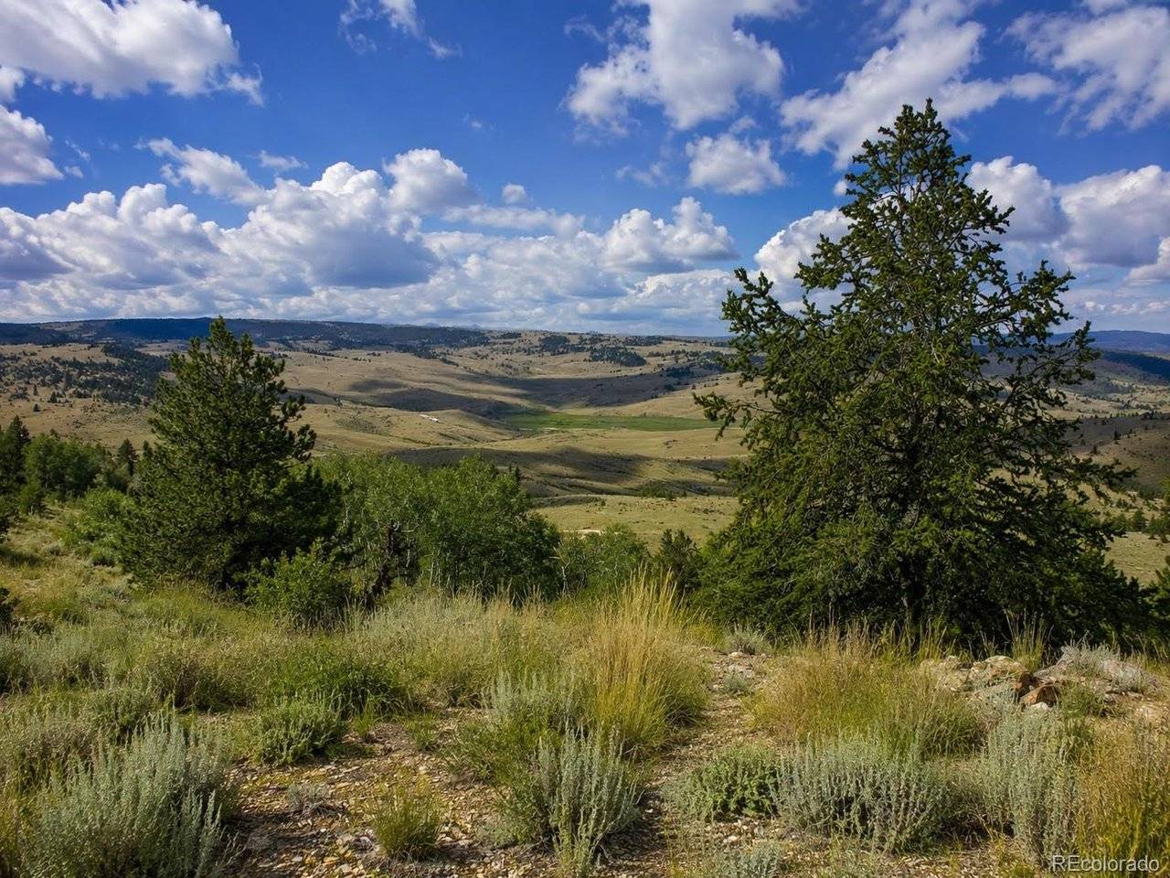 639 Spade, Jefferson, CO 80456