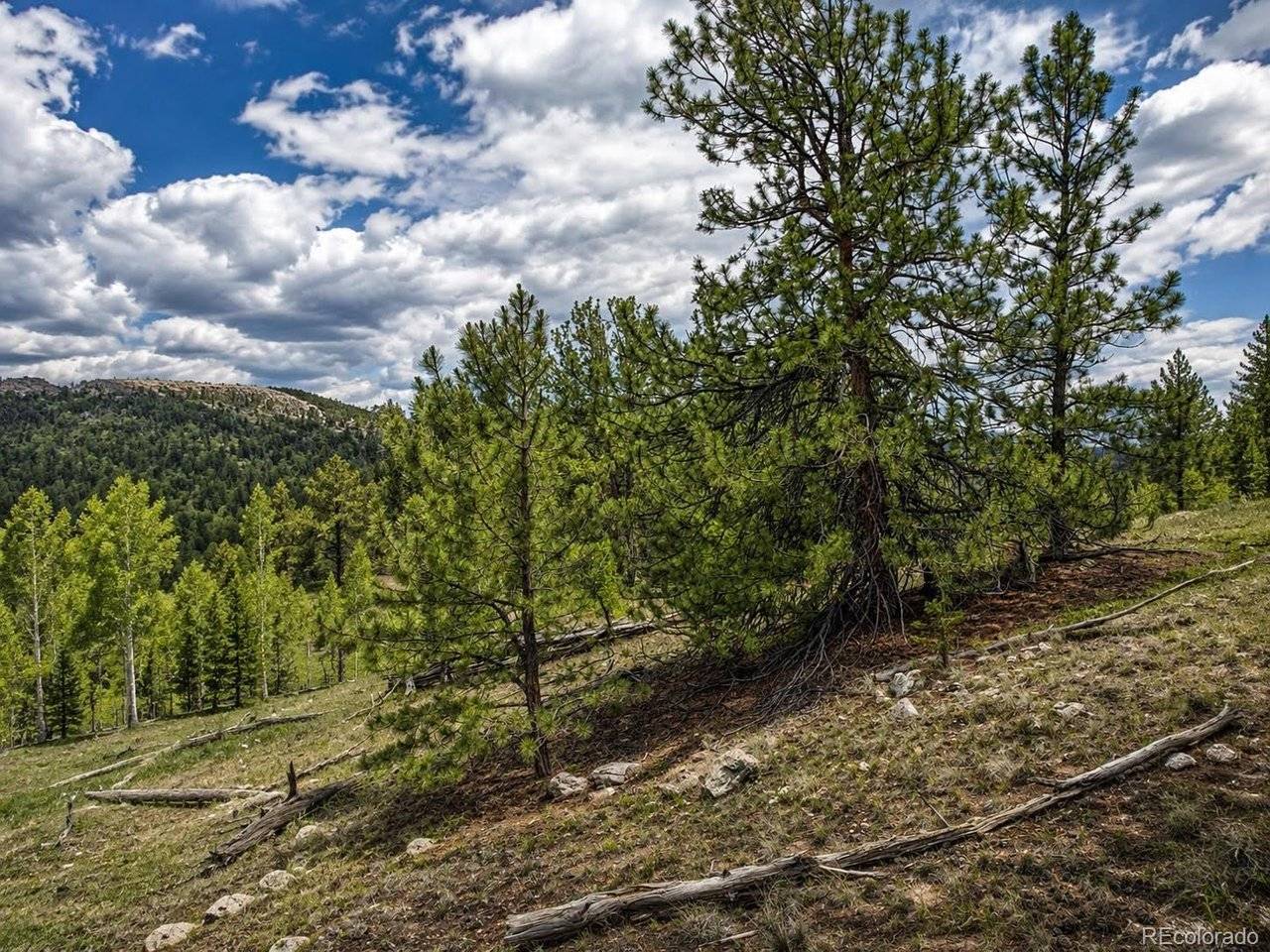 639 Spade, Jefferson, CO 80456