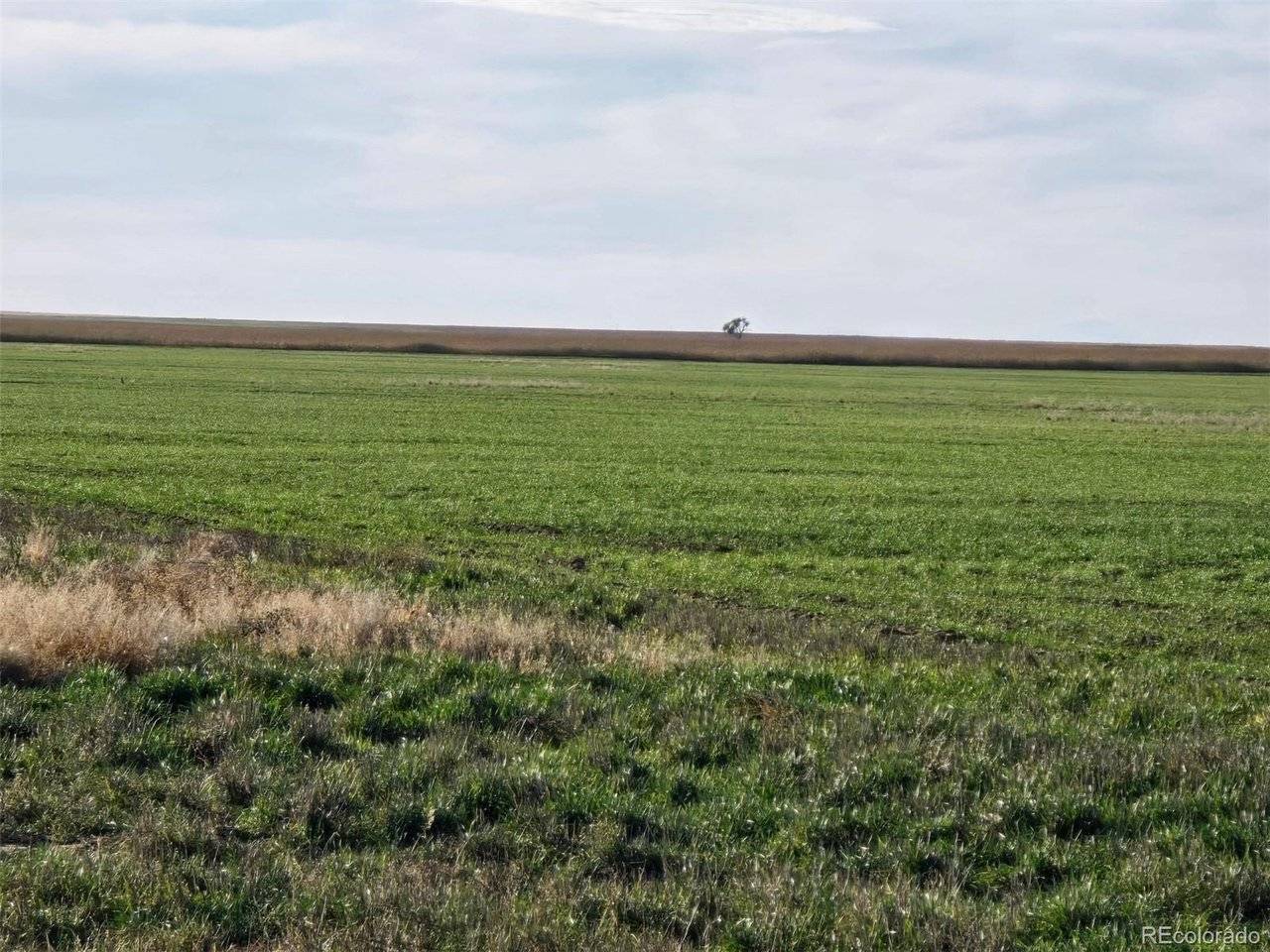 0 CR K, Haswell, CO 81045