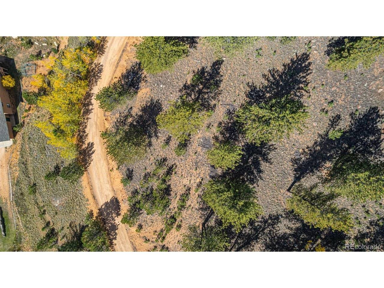 103 Gross, Bailey, CO 80421