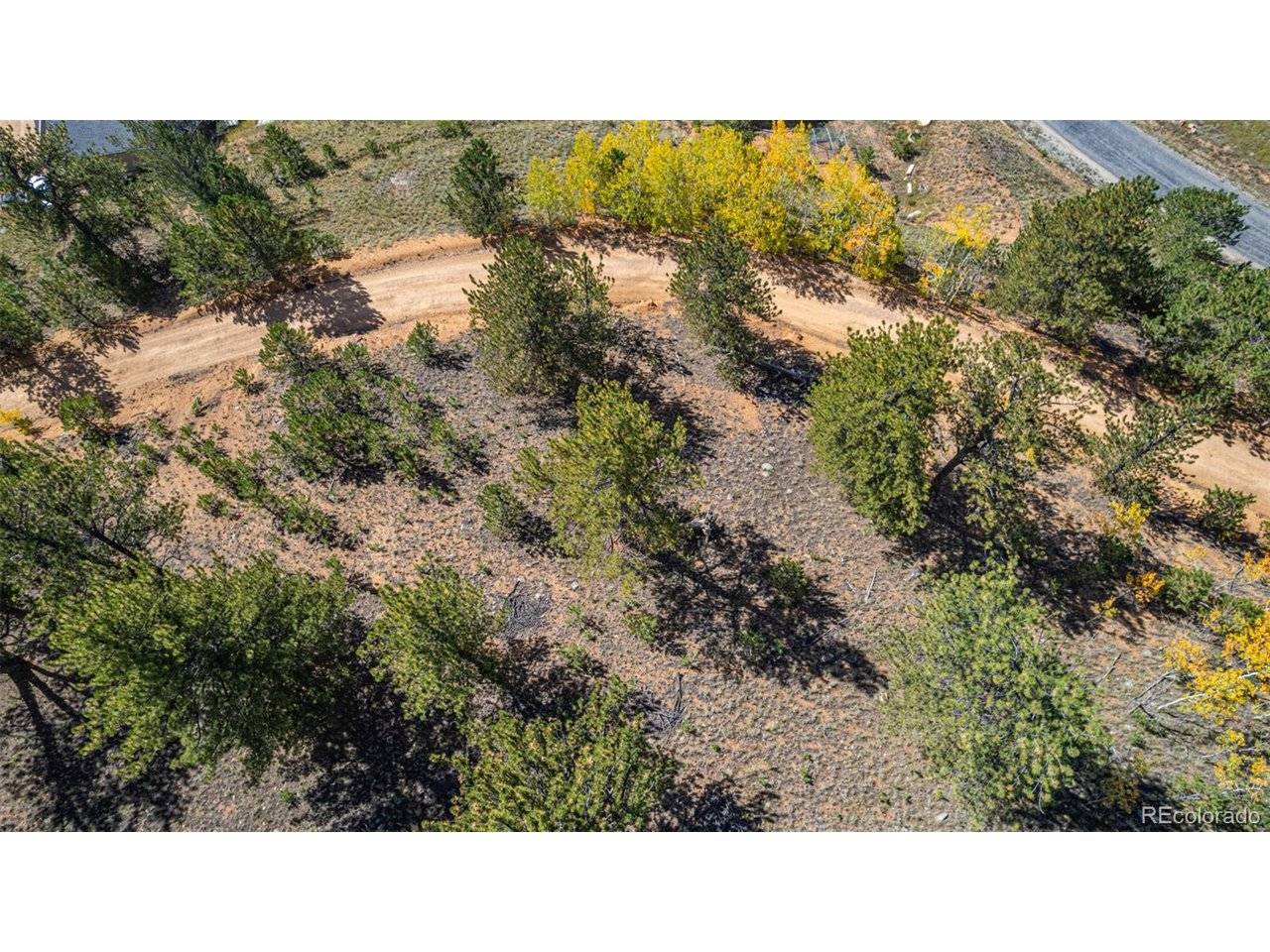 103 Gross, Bailey, CO 80421