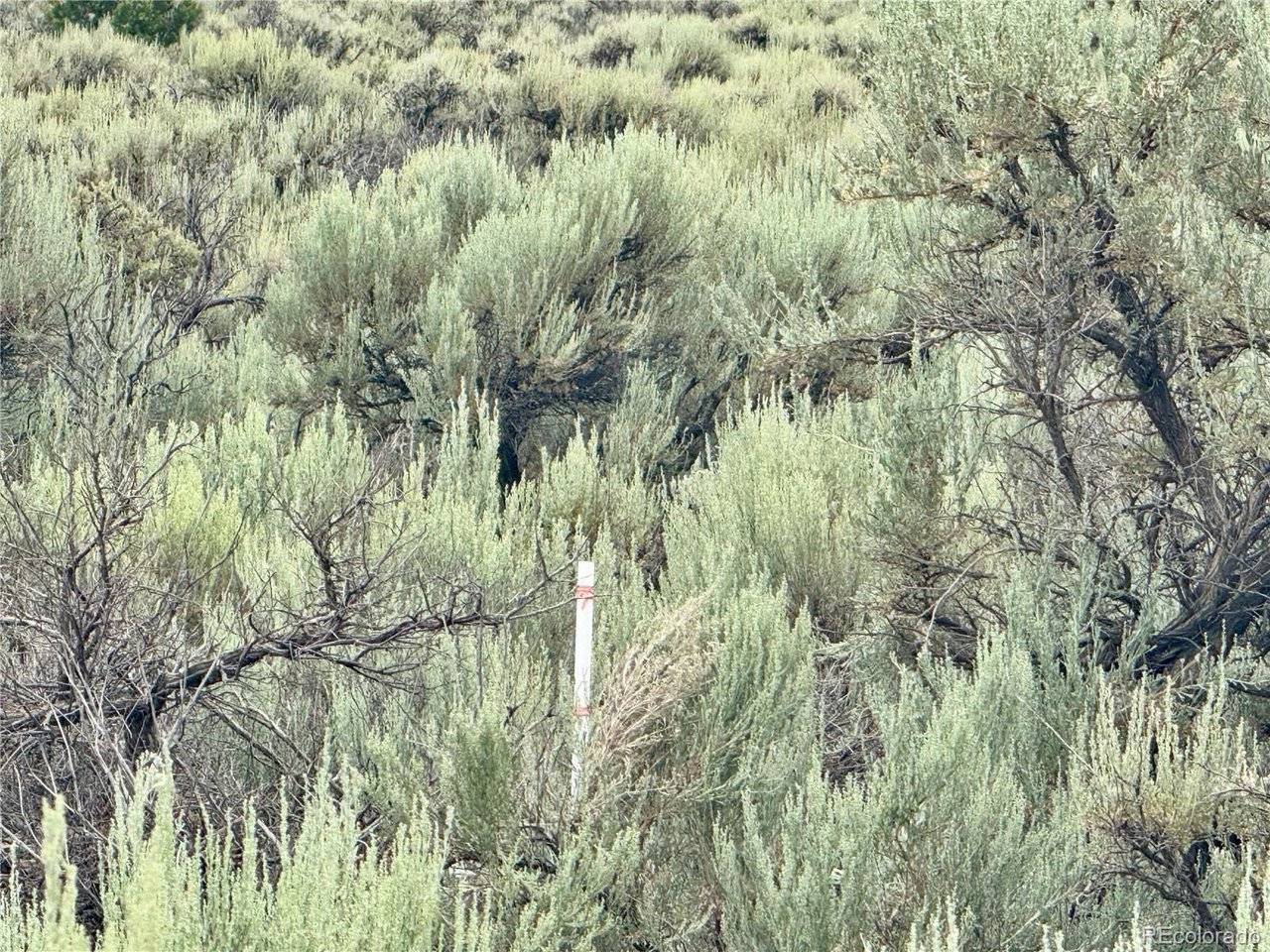 38 WildHorse, San Luis, CO 81152
