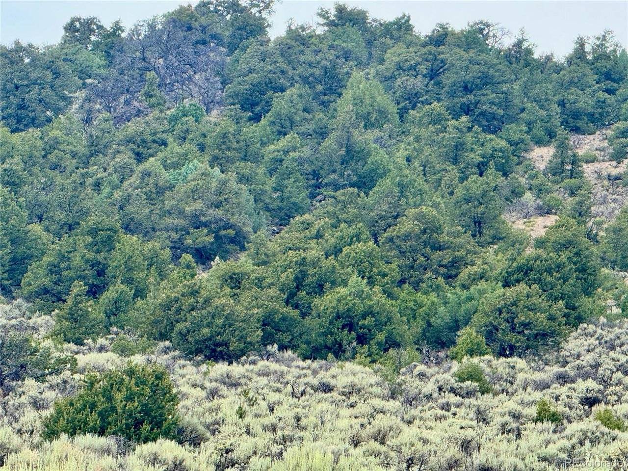 38 WildHorse, San Luis, CO 81152