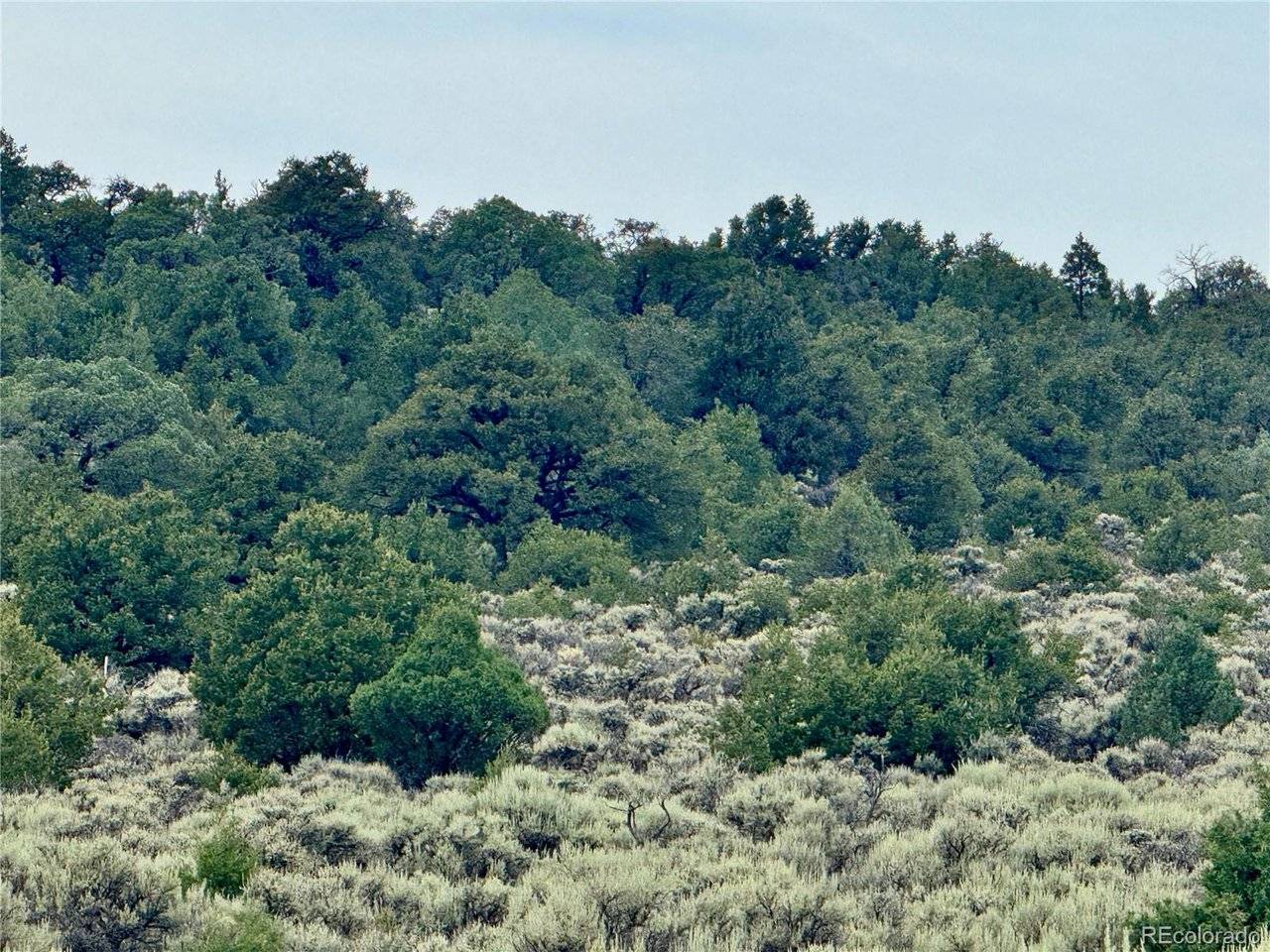 38 WildHorse, San Luis, CO 81152