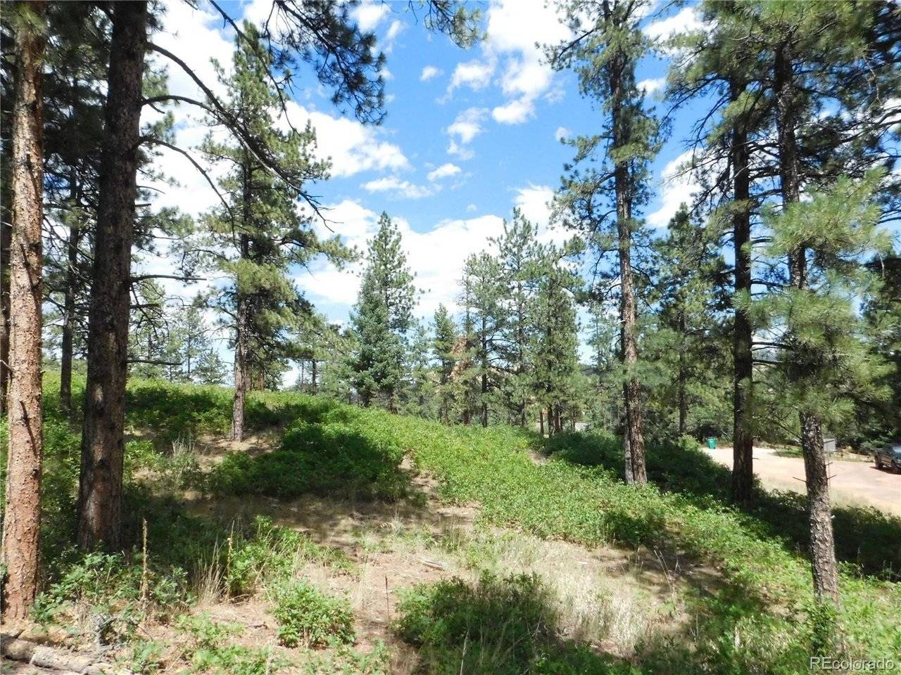 8055 Acoma, Larkspur, CO 80118