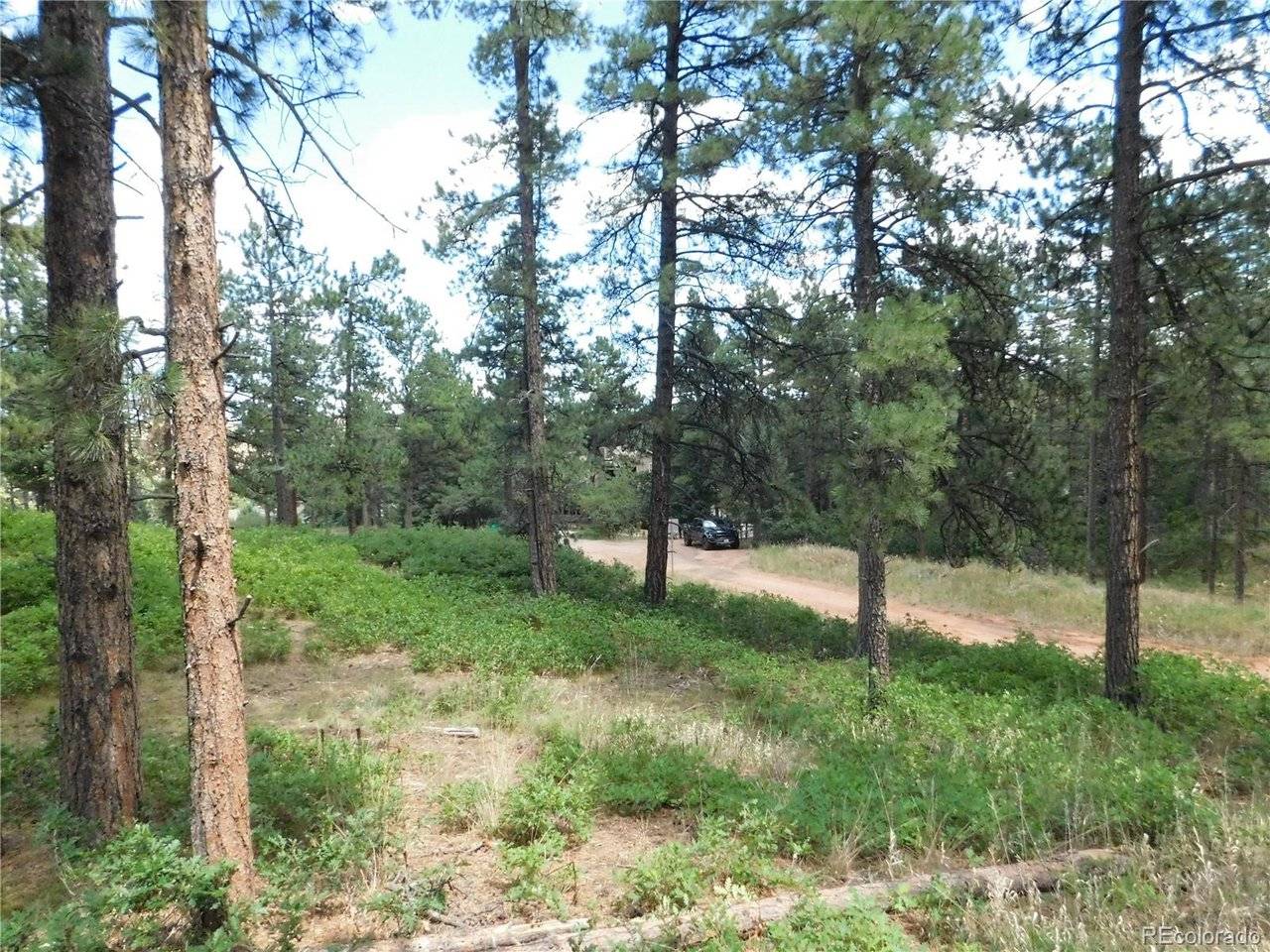 8055 Acoma, Larkspur, CO 80118