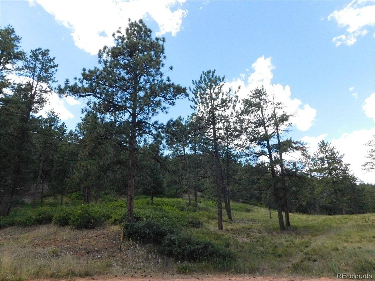 8055 Acoma, Larkspur, CO 80118