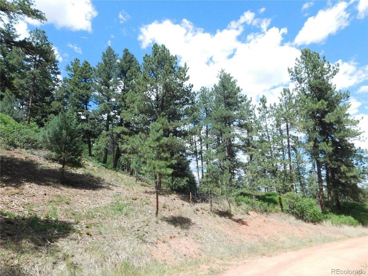 8055 Acoma, Larkspur, CO 80118
