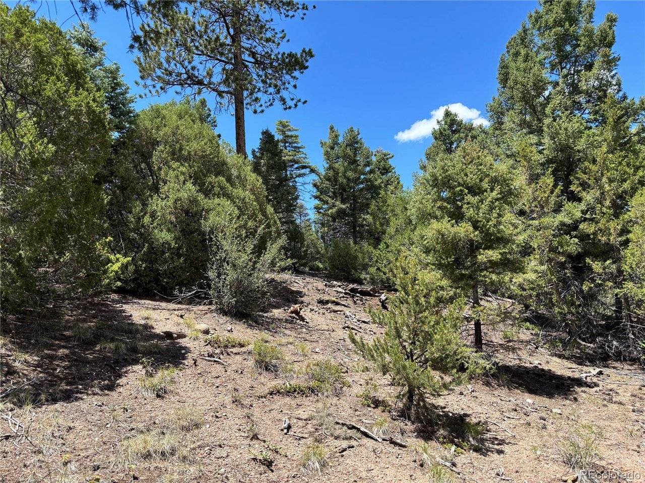 0 Sesame, Fort Garland, CO 81133