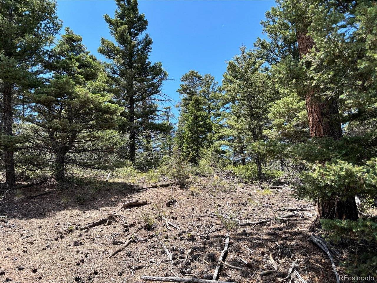 0 Sesame, Fort Garland, CO 81133