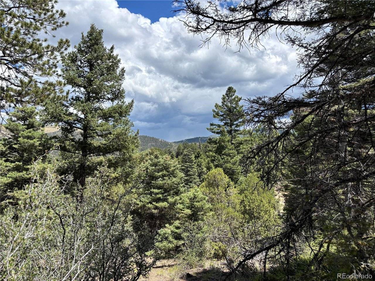 0 Sesame, Fort Garland, CO 81133