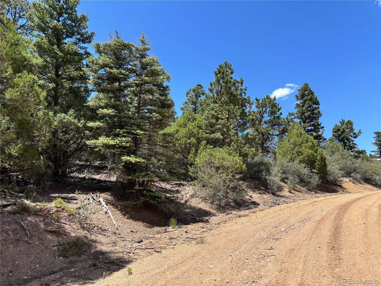 0 Sesame, Fort Garland, CO 81133