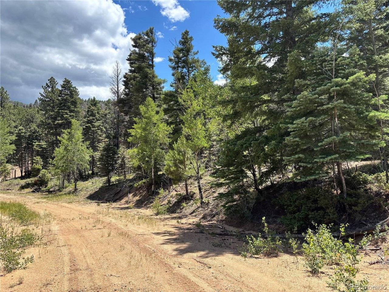 0 Sesame, Fort Garland, CO 81133