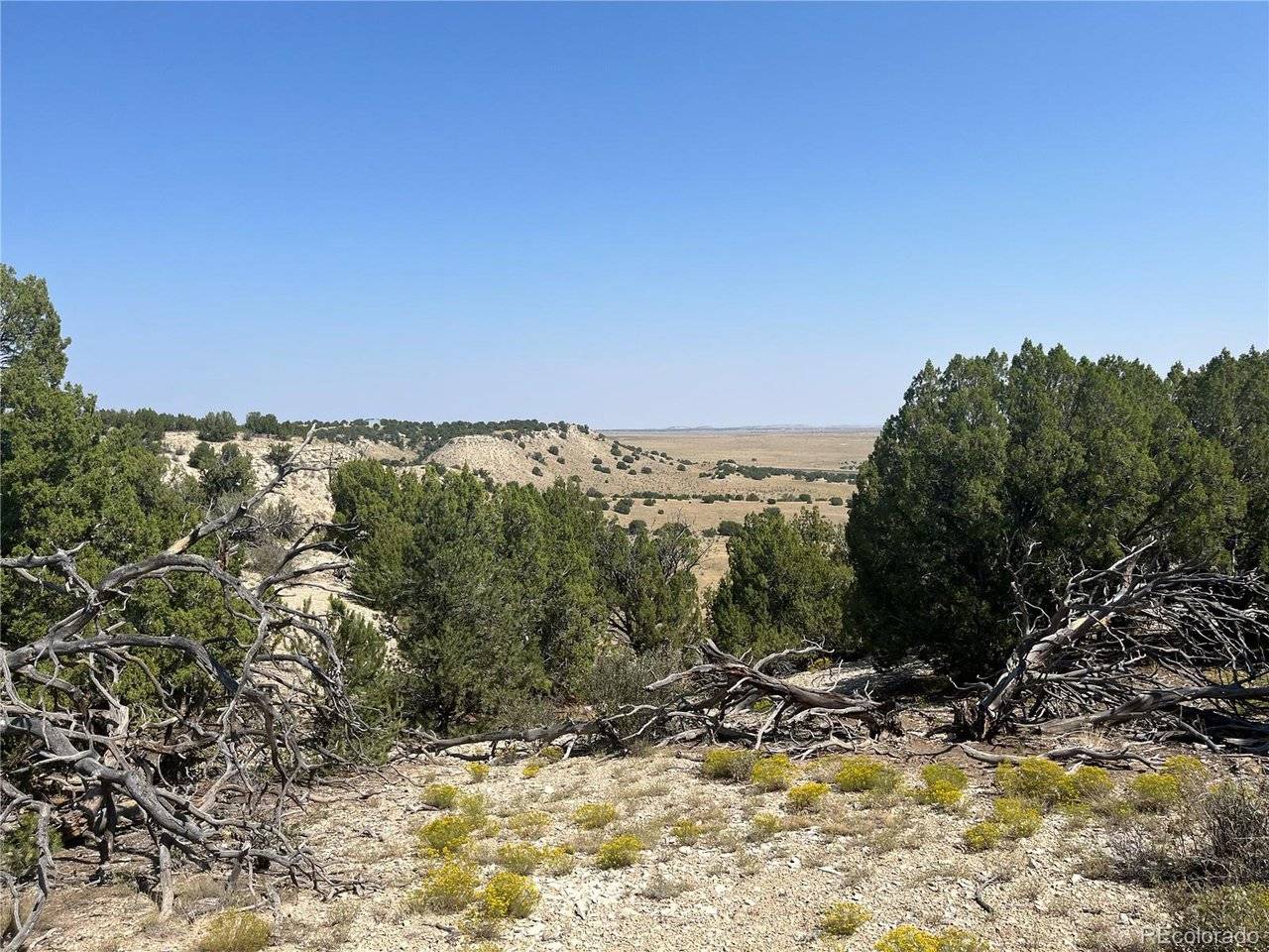 90 Railroad Springs, Pueblo, CO 81004