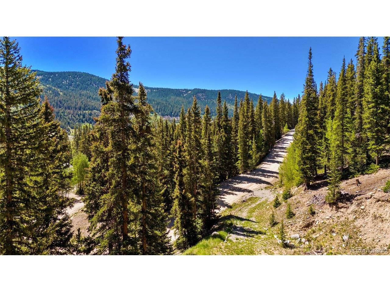 797 Peterson, Fairplay, CO 80440