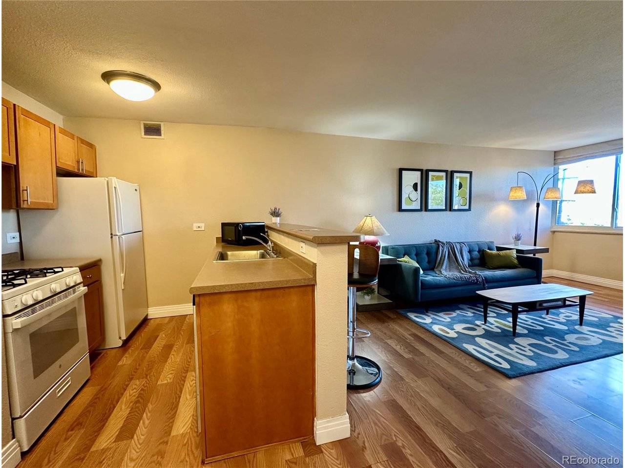 1196 N Grant #407, Denver, CO 80203