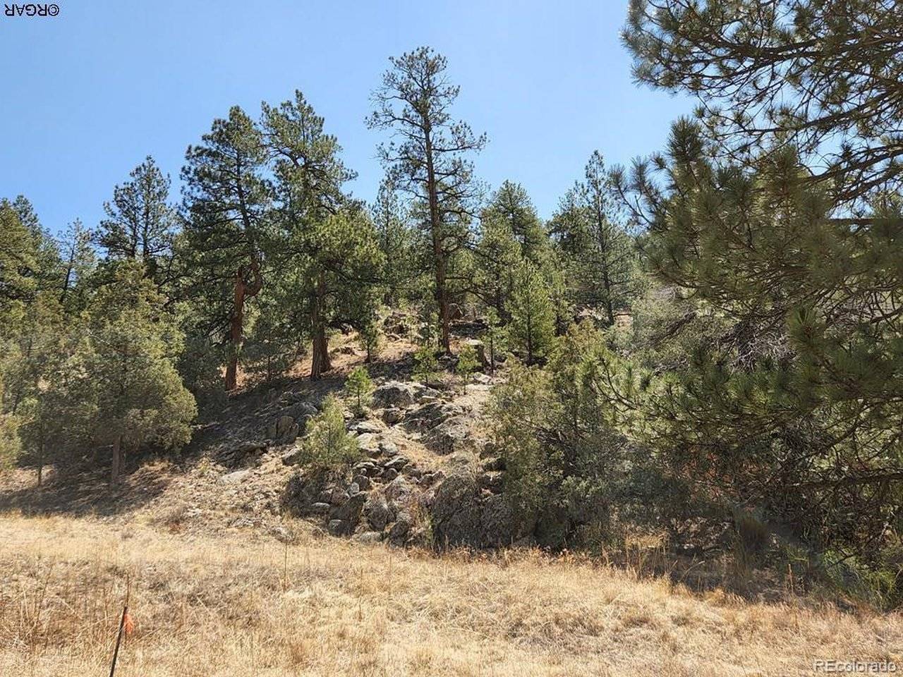 1314 Arnold, Cotopaxi, CO 81223