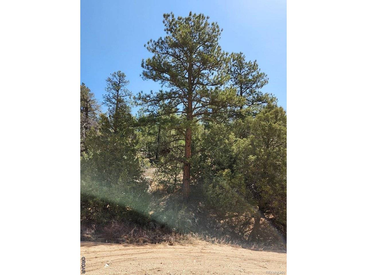 1314 Arnold, Cotopaxi, CO 81223