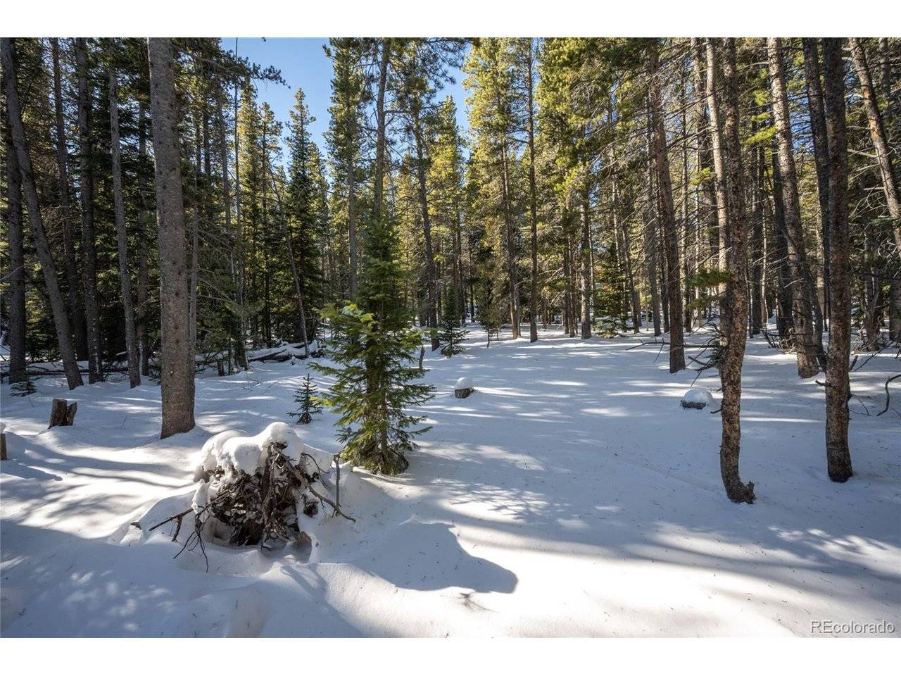 112 Deer, Idaho Springs, CO 80452