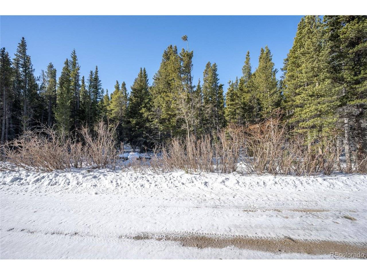 112 Deer, Idaho Springs, CO 80452