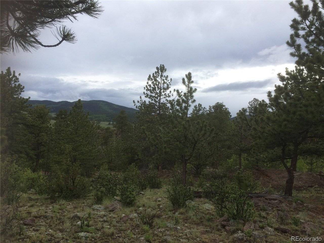 256 Bandana, Hartsel, CO 80449