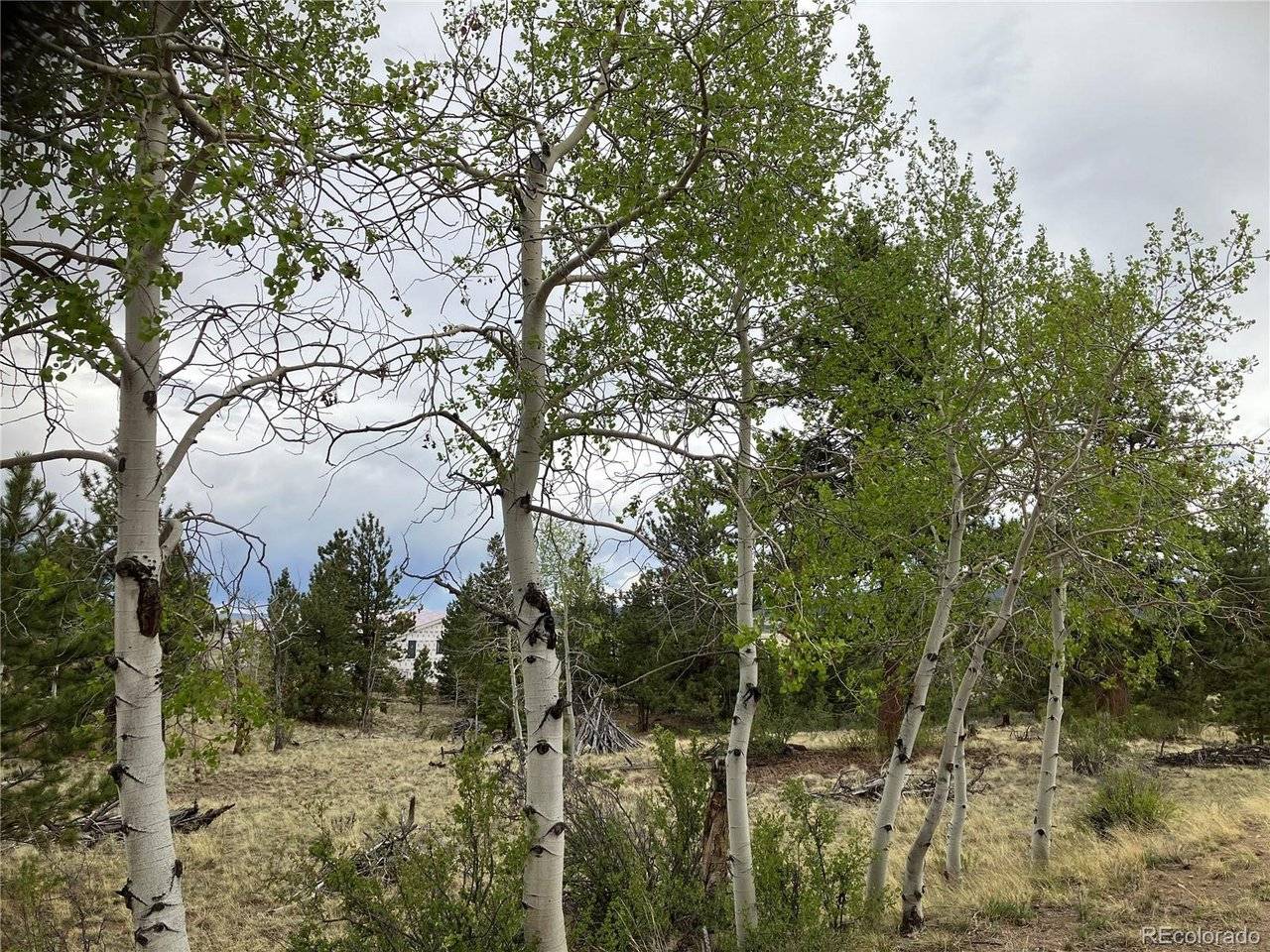 256 Bandana, Hartsel, CO 80449