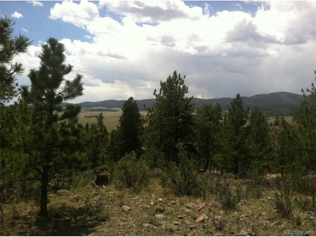 256 Bandana, Hartsel, CO 80449