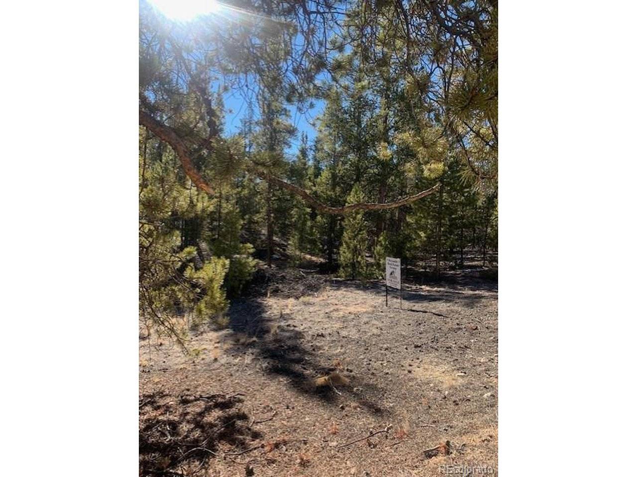 180 Peak View, Leadville, CO 81251