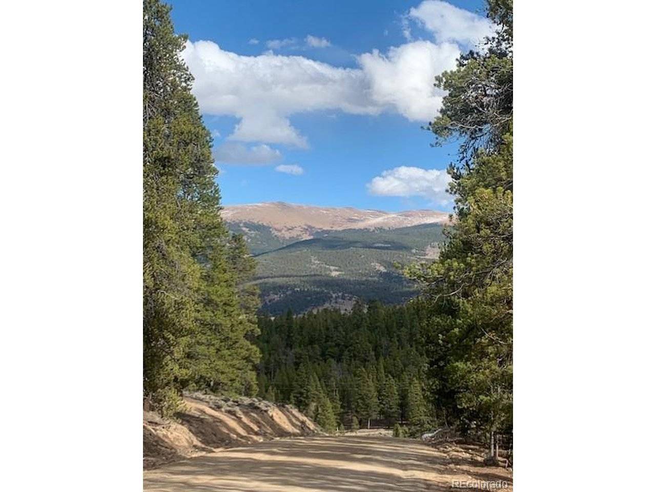 180 Peak View, Leadville, CO 81251