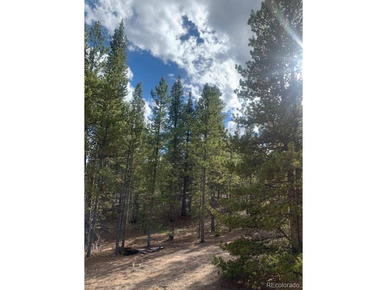 180 Peak View, Leadville, CO 81251