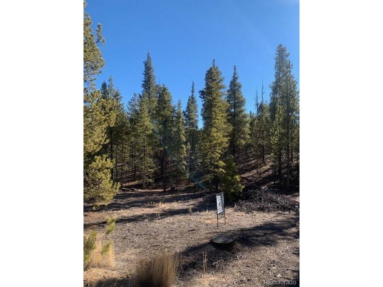 180 Peak View, Leadville, CO 81251