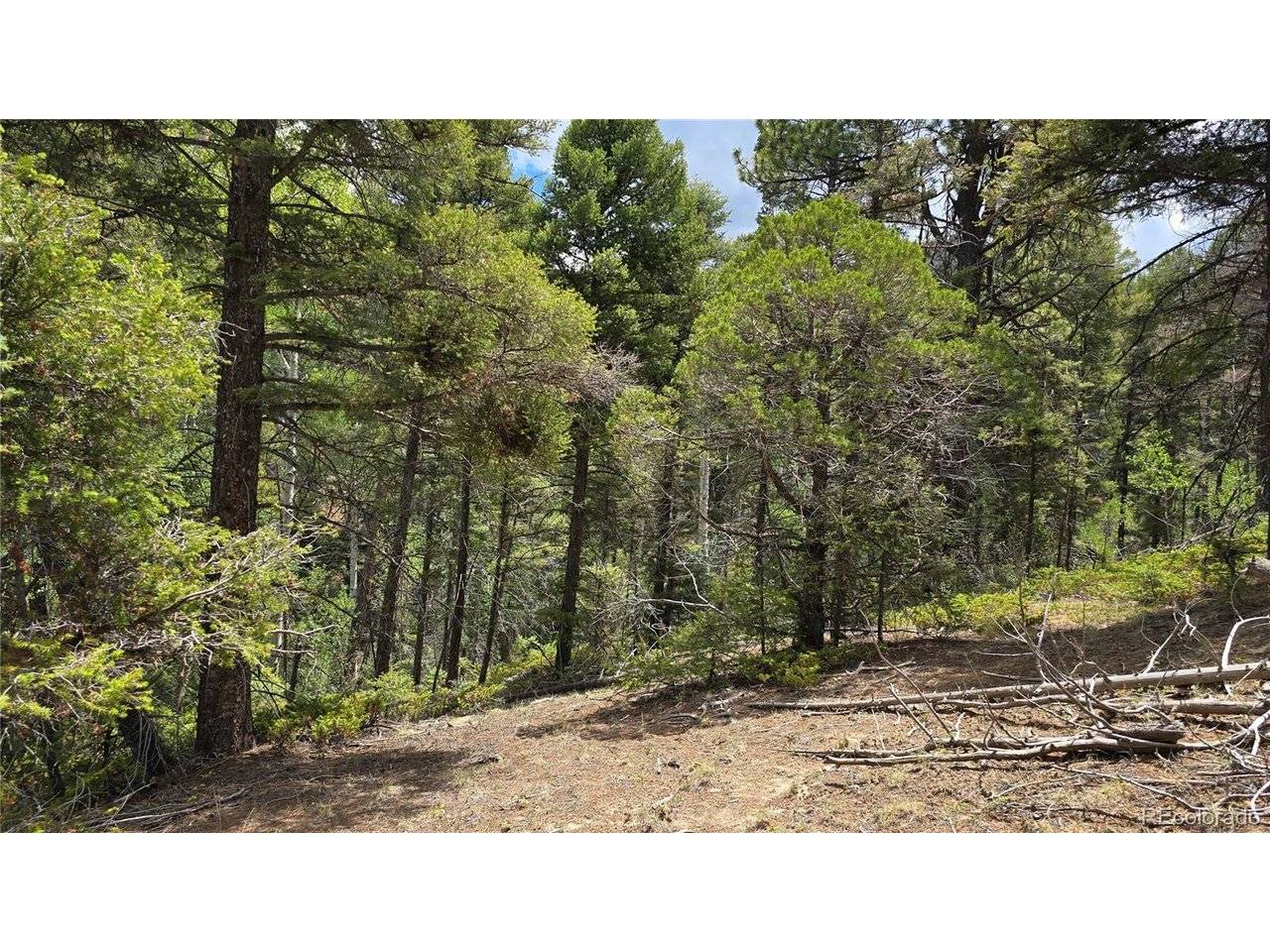 5540 Joy, Fort Garland, CO 81133