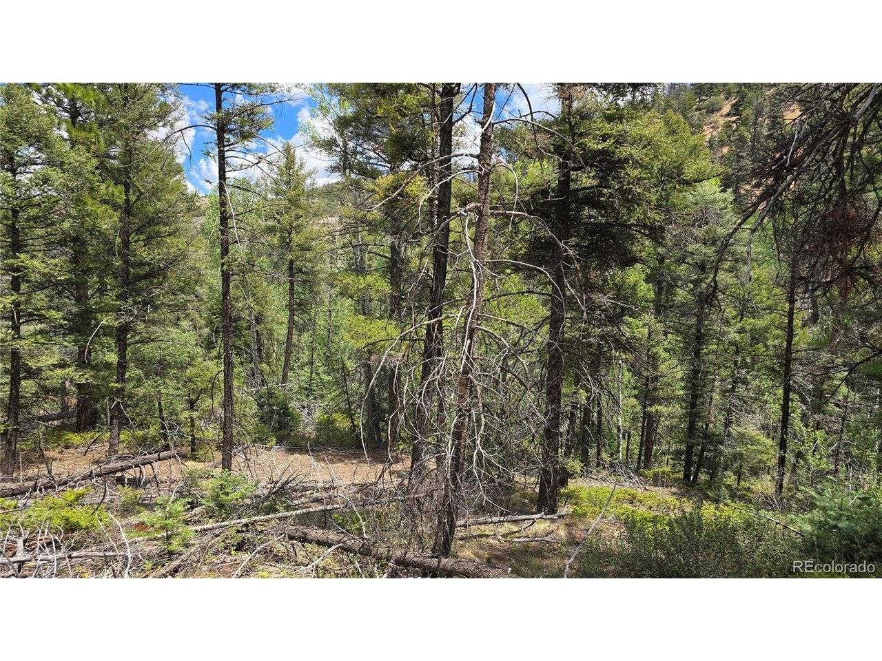 5540 Joy, Fort Garland, CO 81133