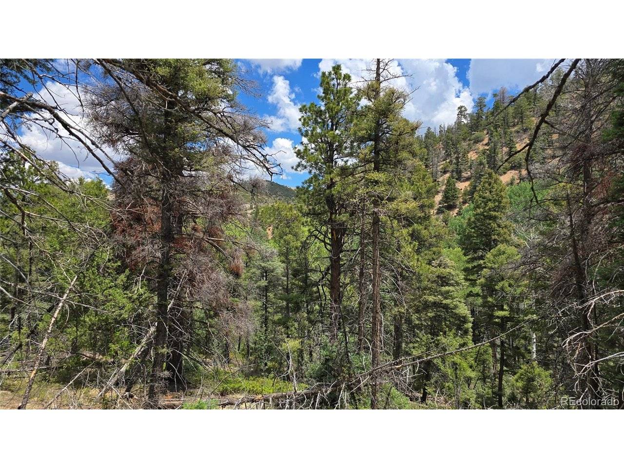 5540 Joy, Fort Garland, CO 81133