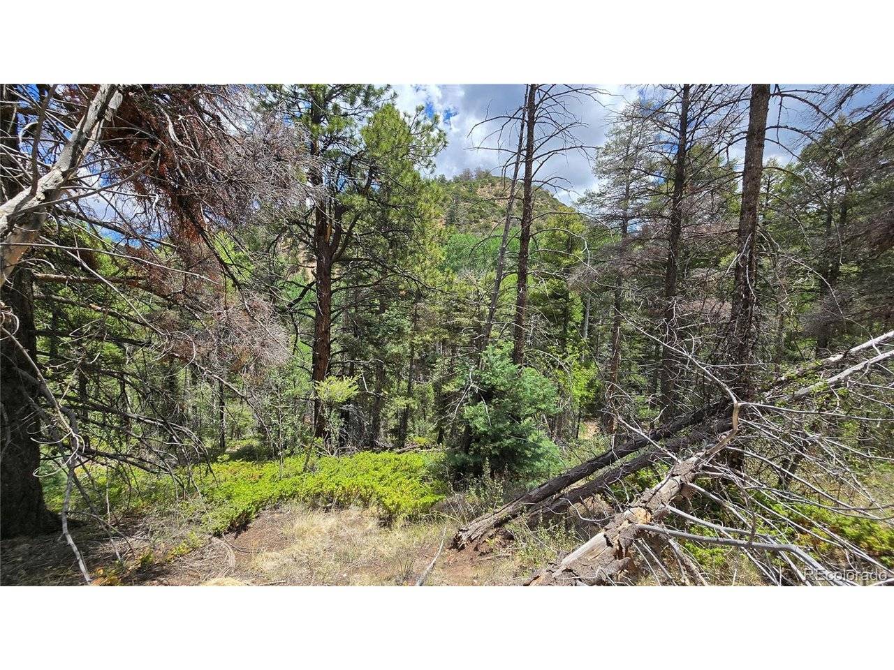 5540 Joy, Fort Garland, CO 81133