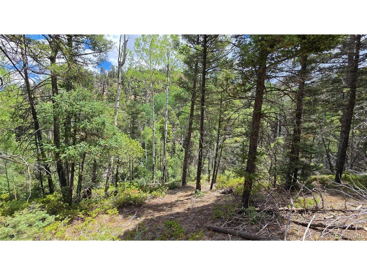 5540 Joy, Fort Garland, CO 81133