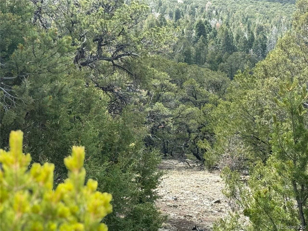 338 Cedar Ridge, Mosca, CO 81146