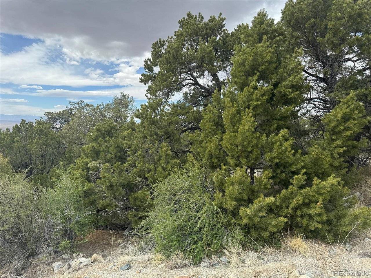 338 Cedar Ridge, Mosca, CO 81146