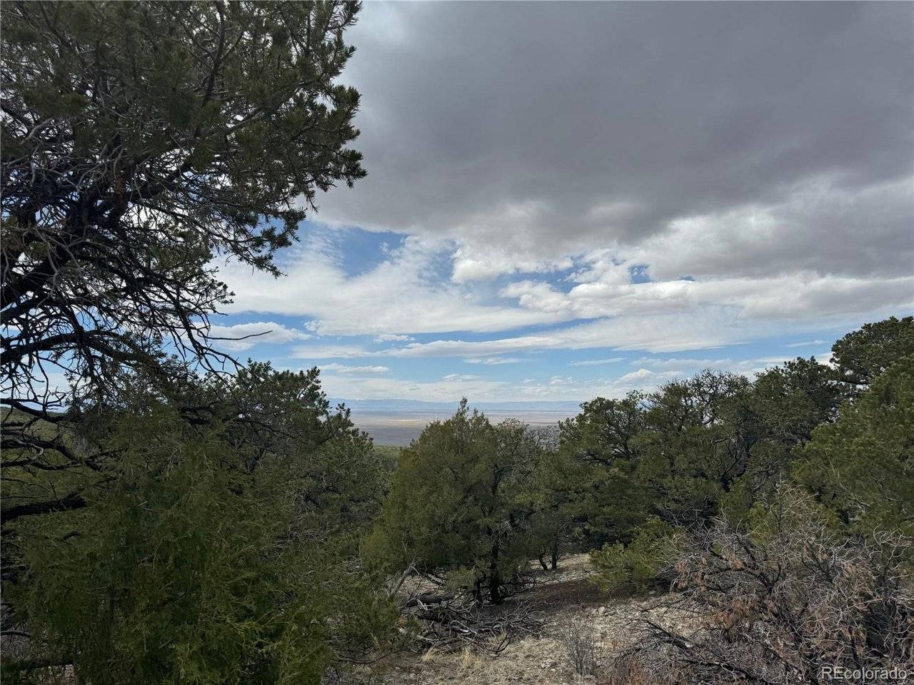 338 Cedar Ridge, Mosca, CO 81146