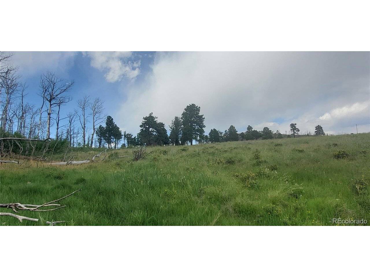 Address not disclosed, Fort Garland, CO 81133