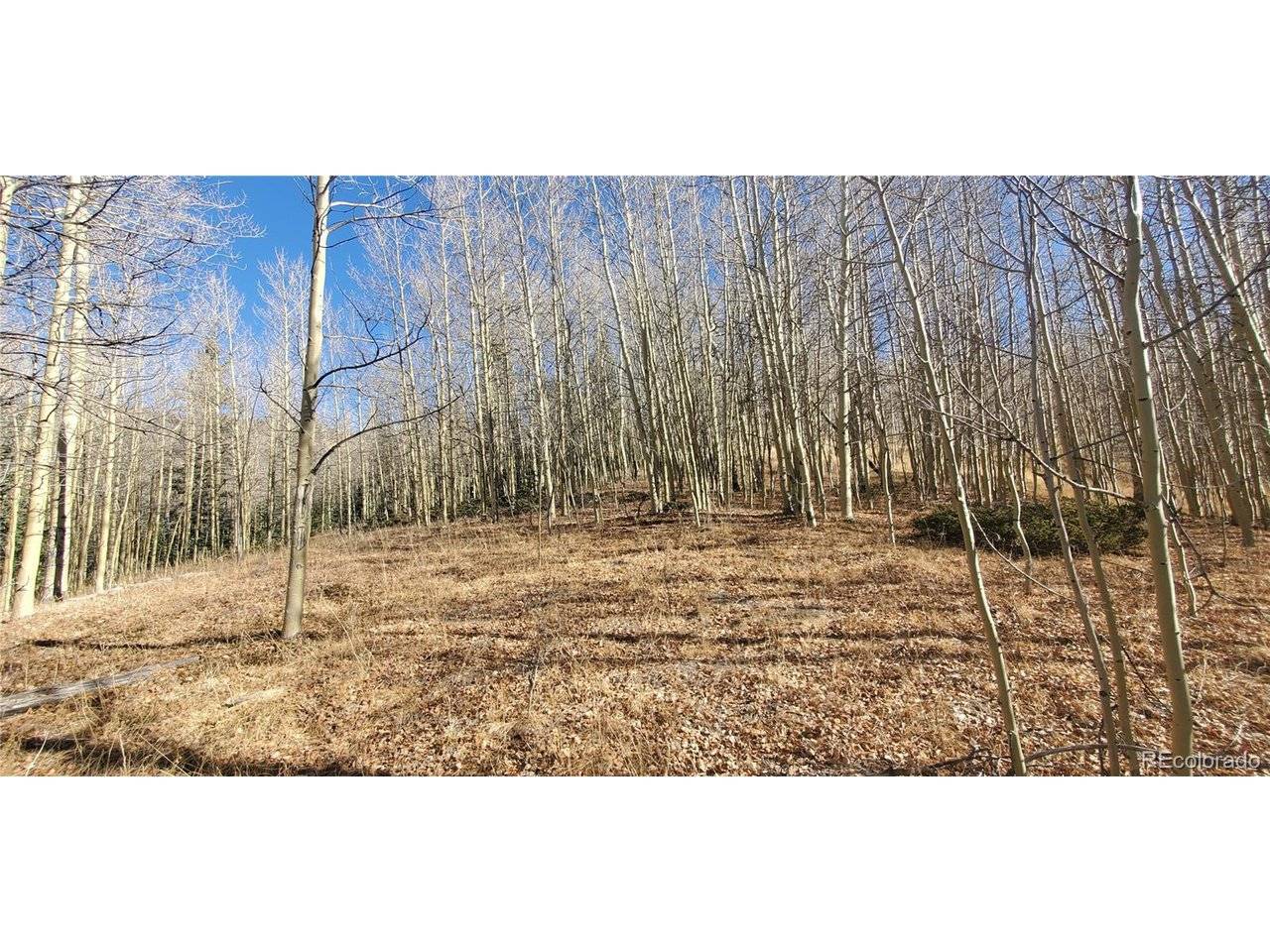 6414 Bronfman, Fort Garland, CO 81133