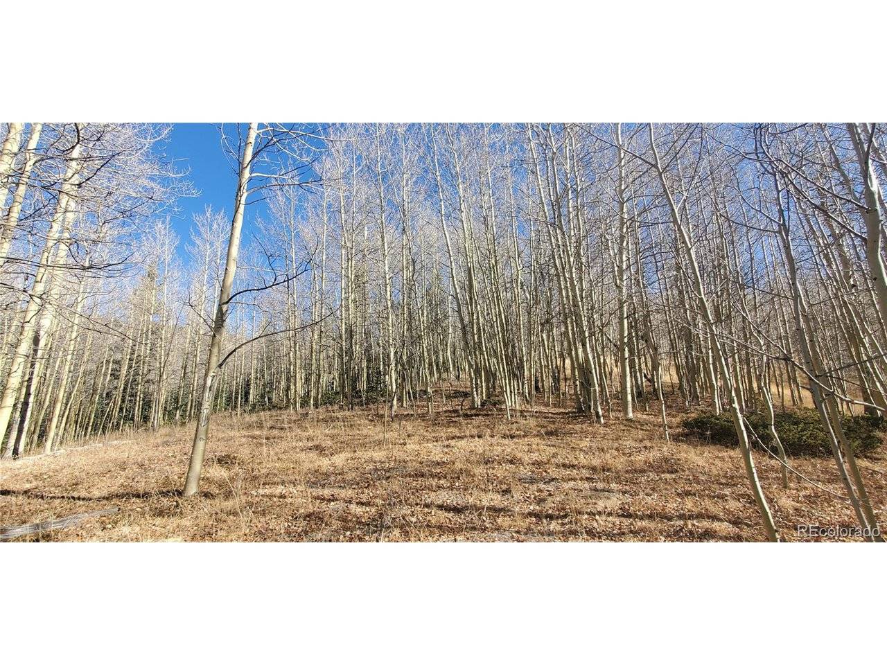 6414 Bronfman, Fort Garland, CO 81133